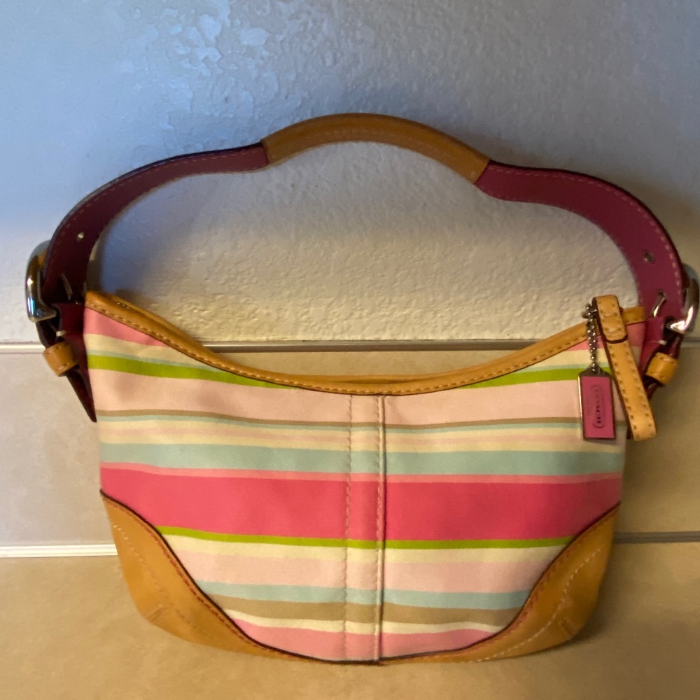 Small striped Coach hobo